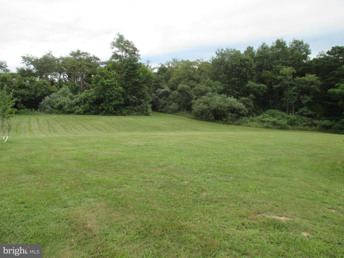 390 Spirit Ln Property Photo 5
