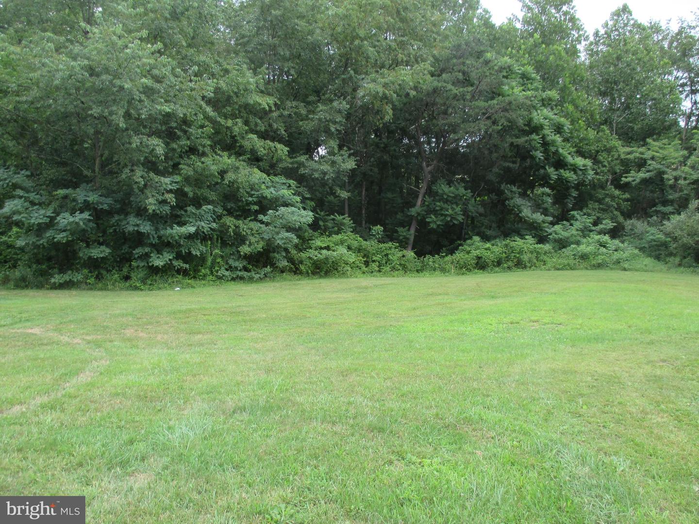 390 Spirit Ln Property Photo 7