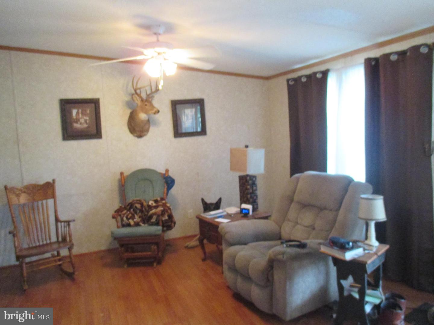 390 Spirit Ln Property Photo 11