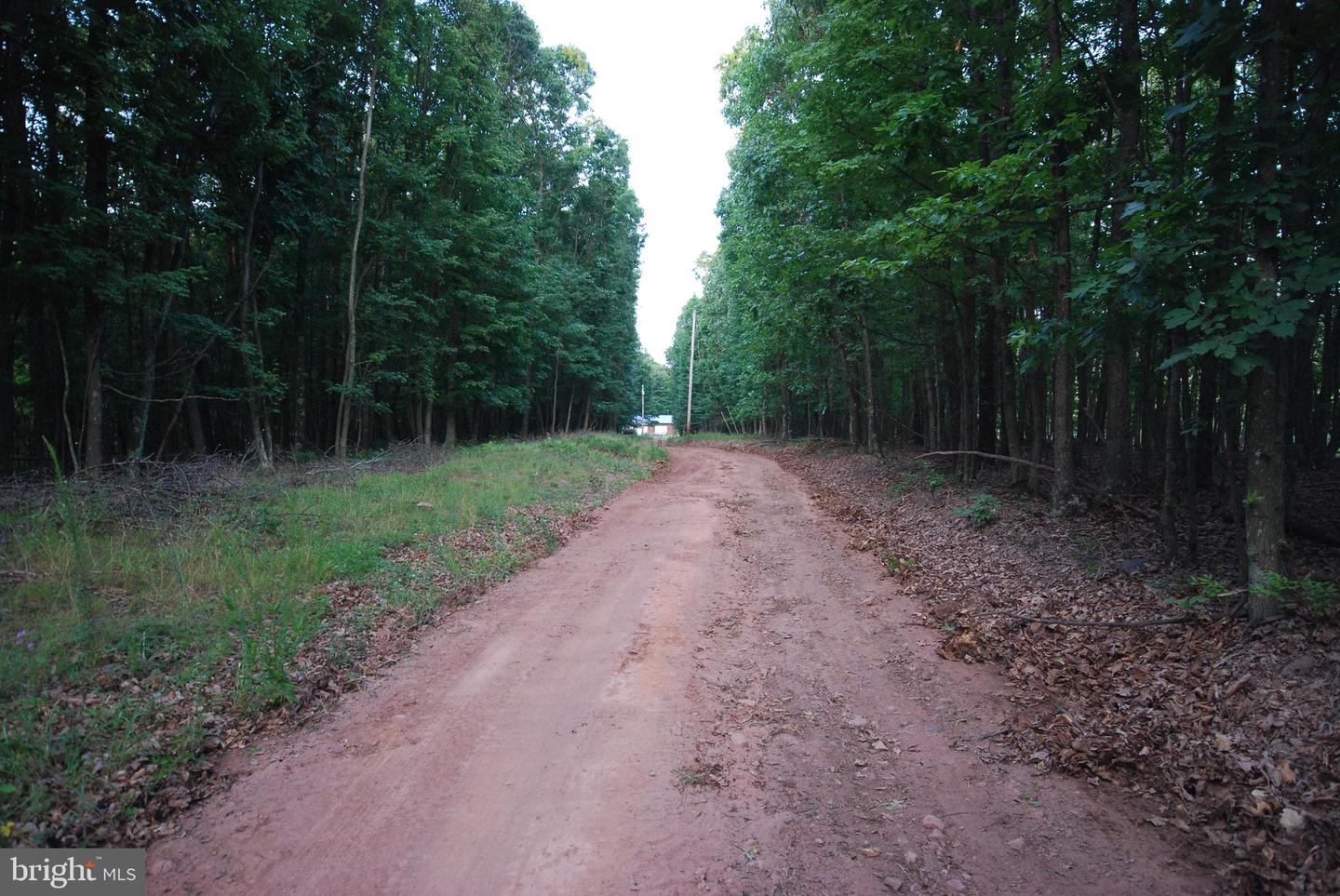 729 Anthony Bohrer Rd Property Photo 17