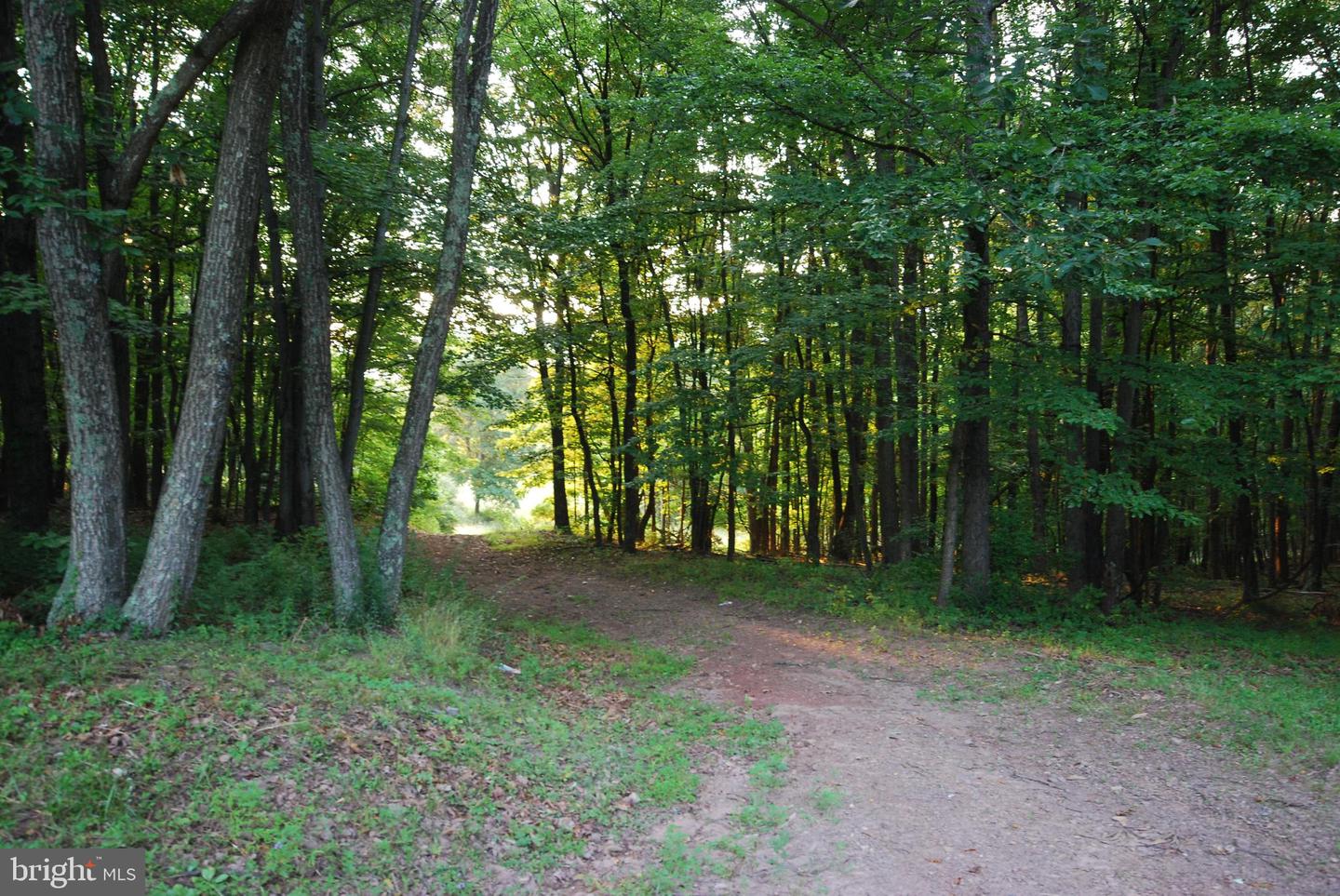 729 Anthony Bohrer Rd Property Photo 18
