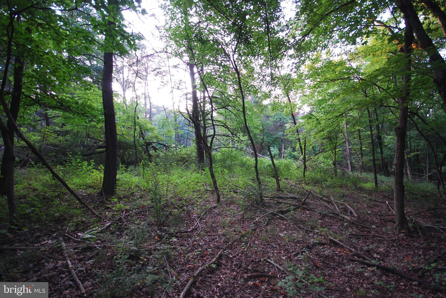 729 Anthony Bohrer Rd Property Photo 21