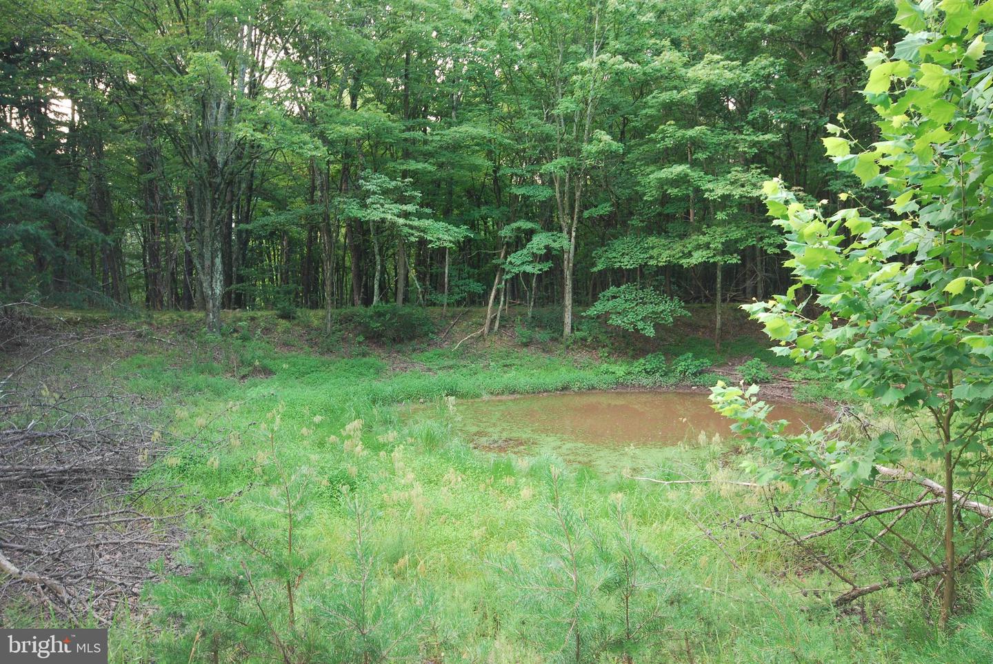 729 Anthony Bohrer Rd Property Photo 22