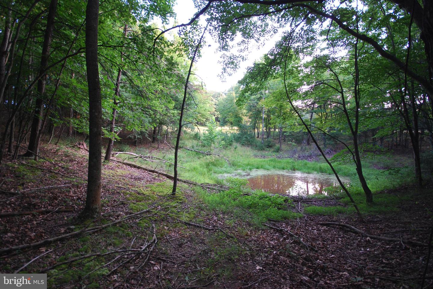 729 Anthony Bohrer Rd Property Photo 23