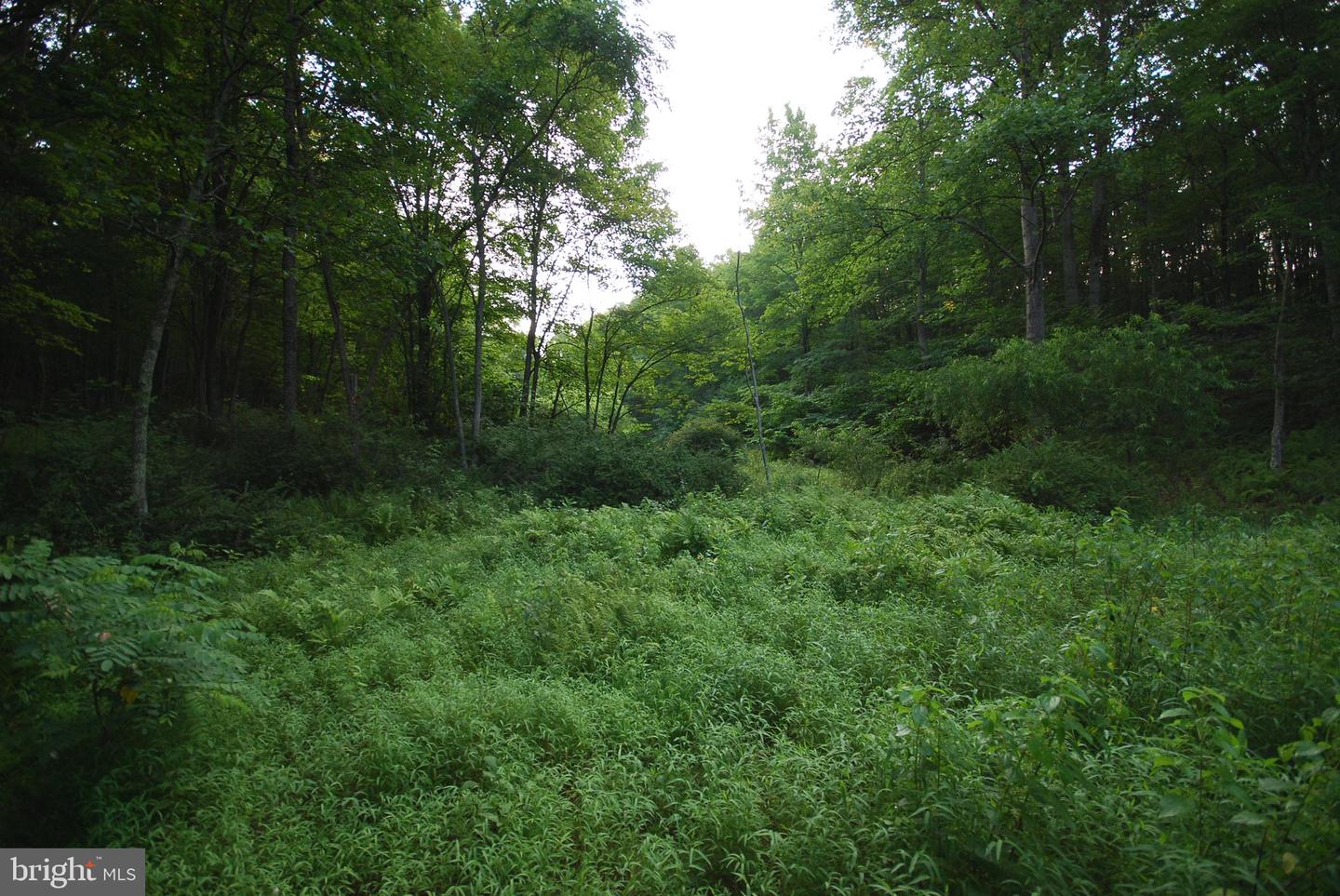 729 Anthony Bohrer Rd Property Photo 25