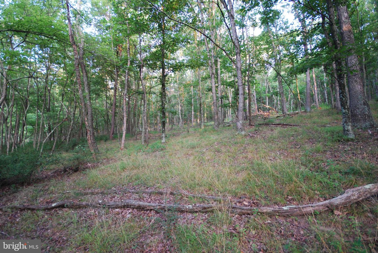 729 Anthony Bohrer Rd Property Photo 26
