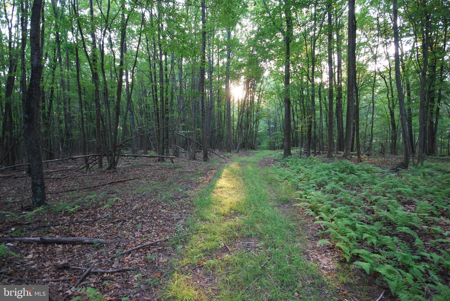 729 Anthony Bohrer Rd Property Photo 34