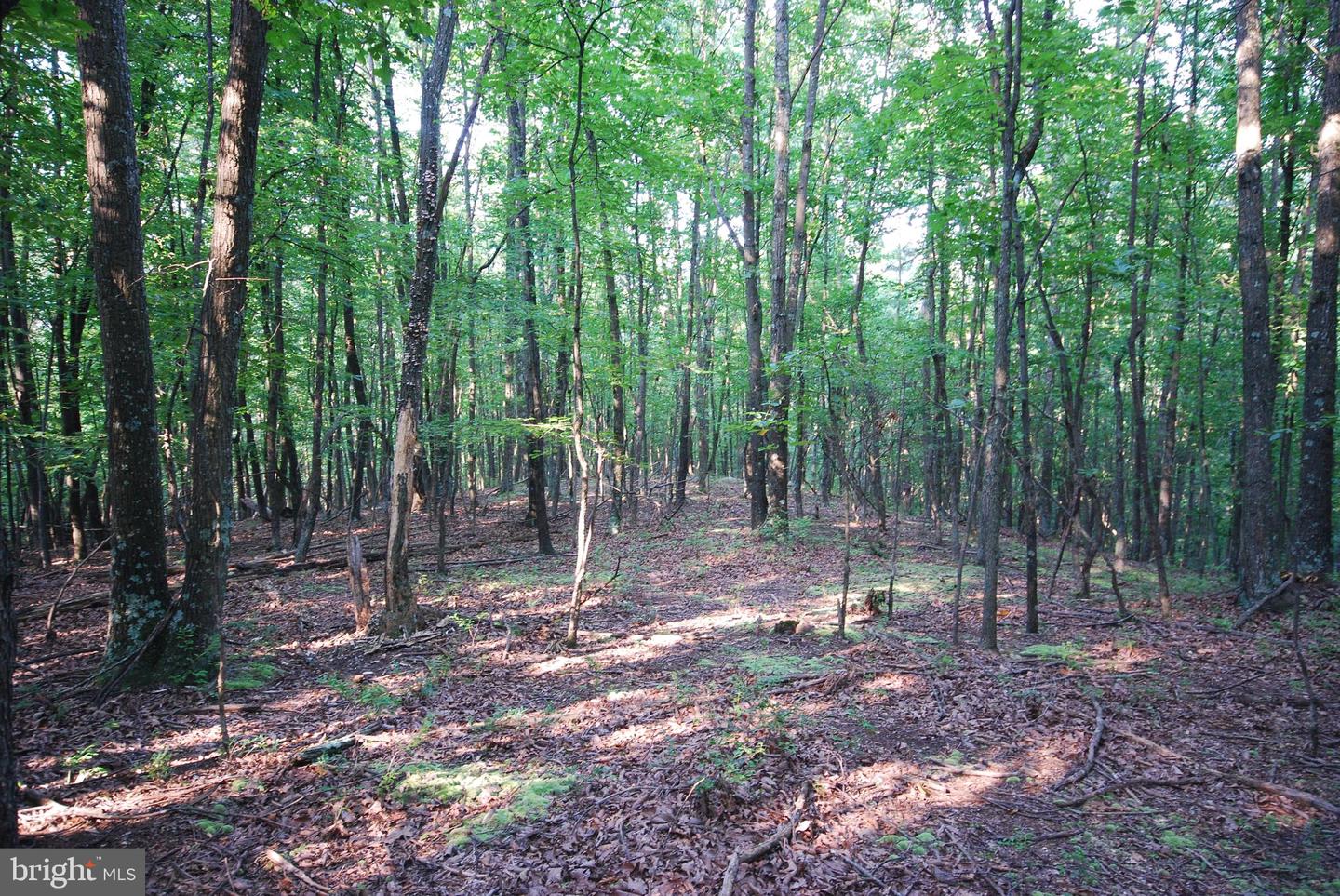 729 Anthony Bohrer Rd Property Photo 35