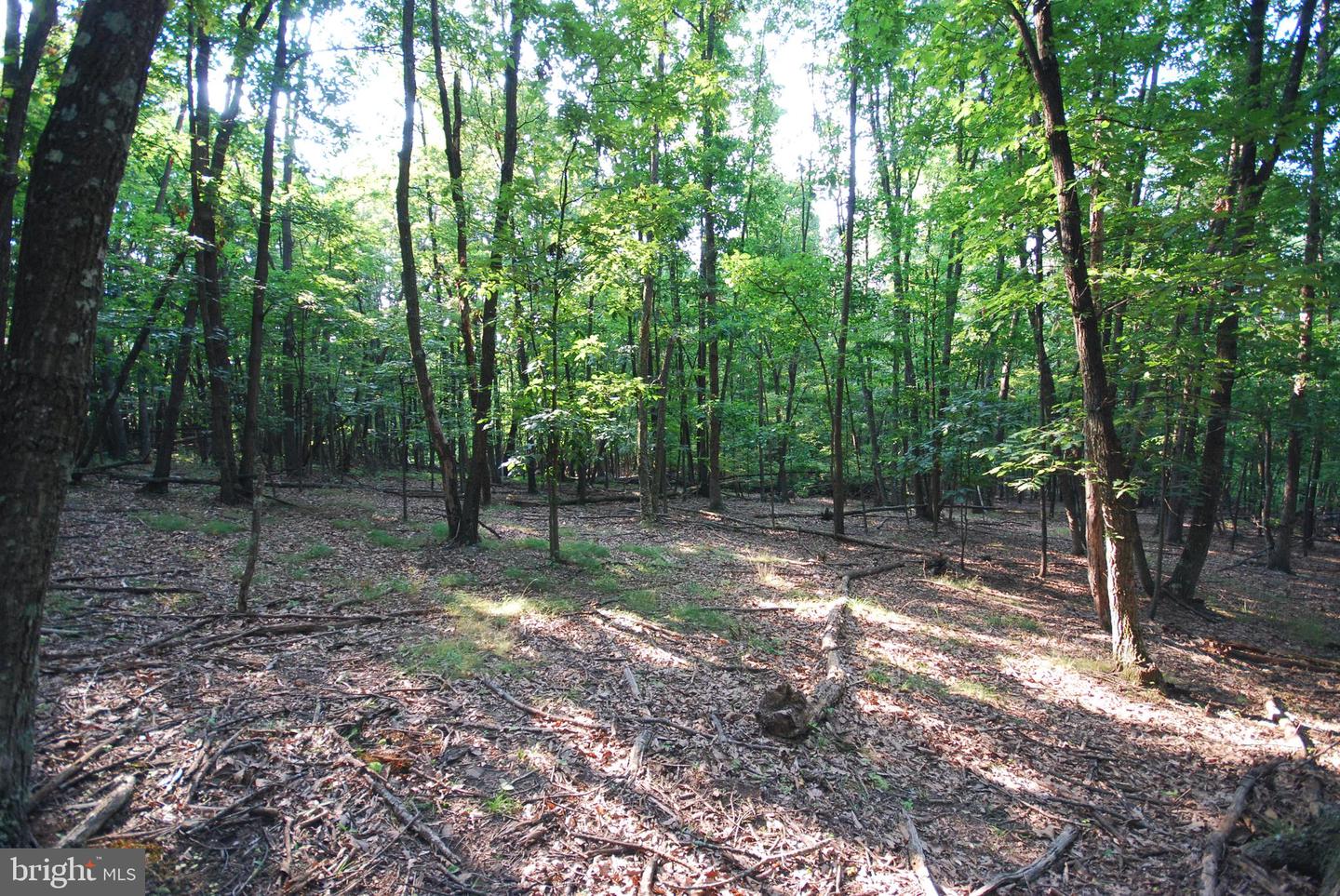 729 Anthony Bohrer Rd Property Photo 36