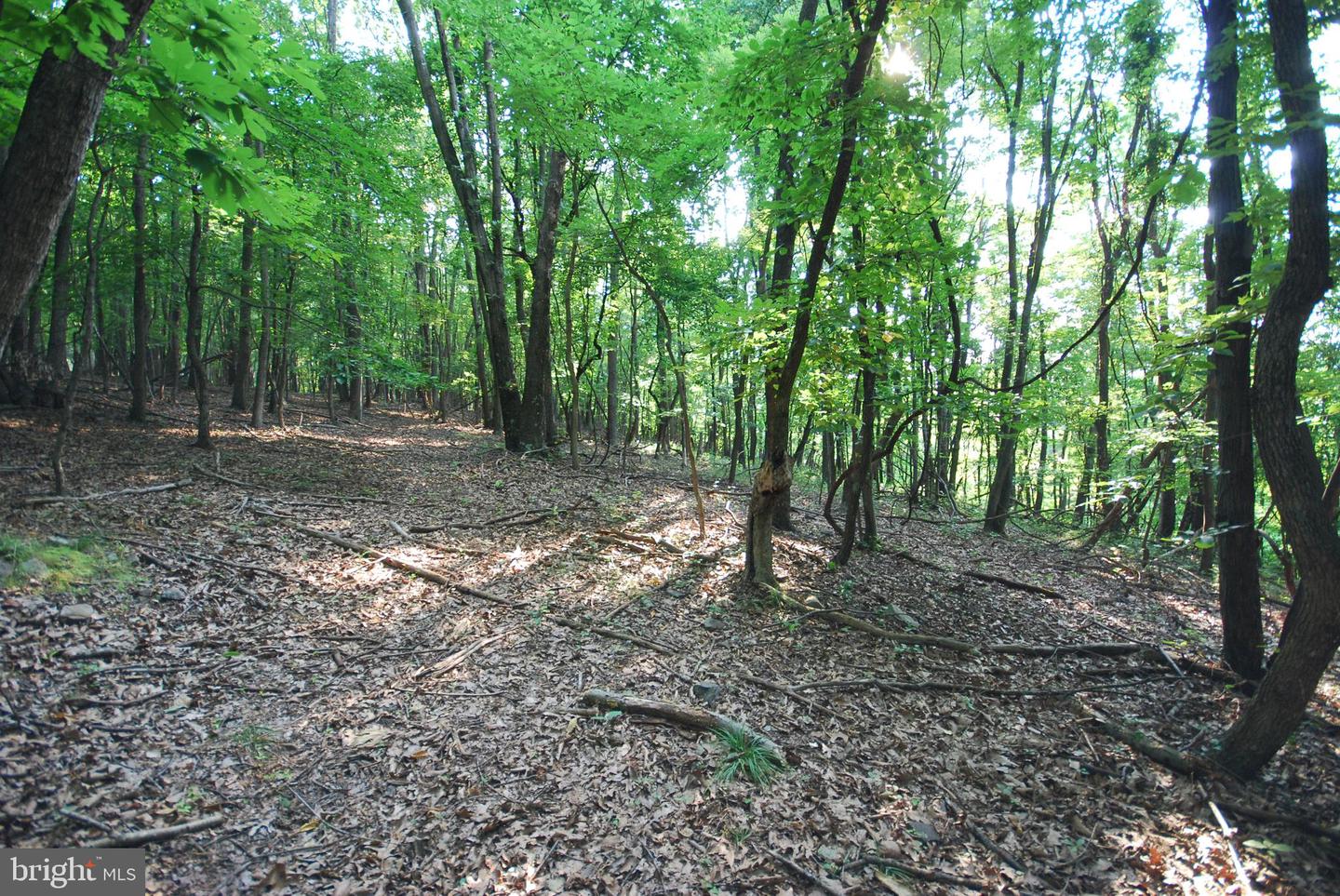 729 Anthony Bohrer Rd Property Photo 37