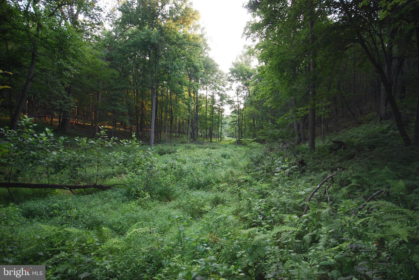 729 Anthony Bohrer Rd Property Photo 38