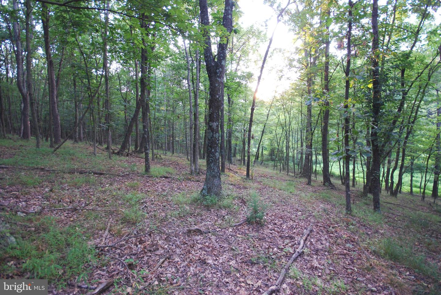 729 Anthony Bohrer Rd Property Photo 39