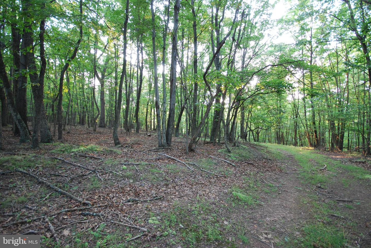 729 Anthony Bohrer Rd Property Photo 40
