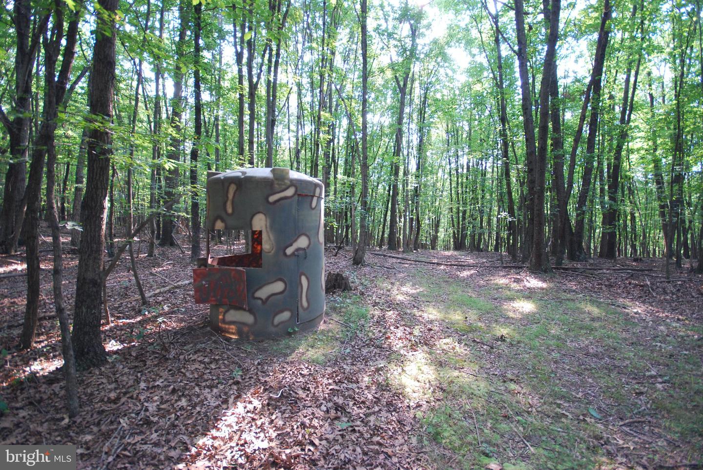 729 Anthony Bohrer Rd Property Photo 41