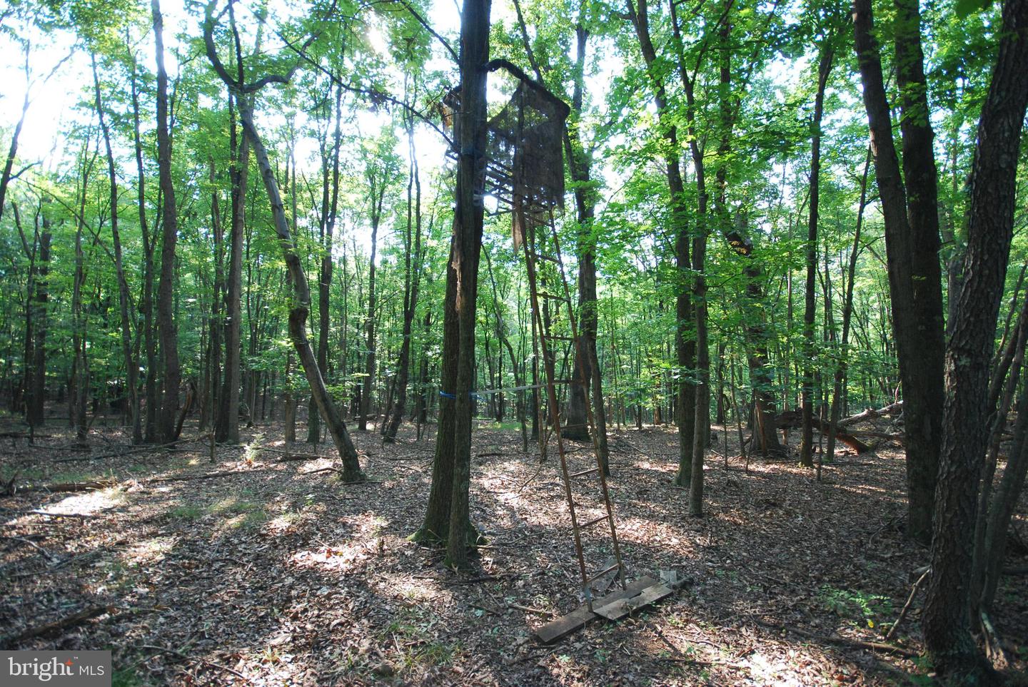 729 Anthony Bohrer Rd Property Photo 42