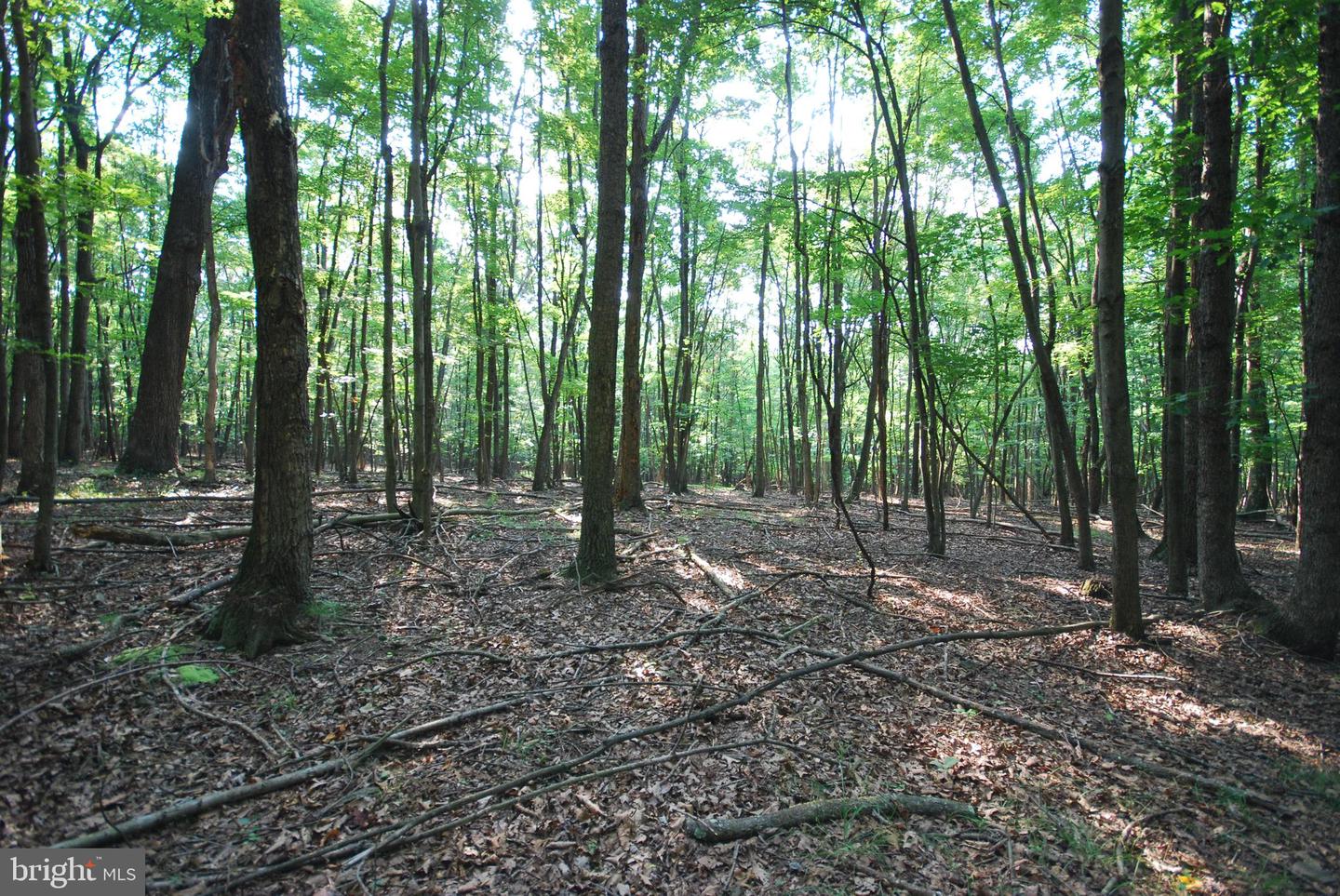 729 Anthony Bohrer Rd Property Photo 44
