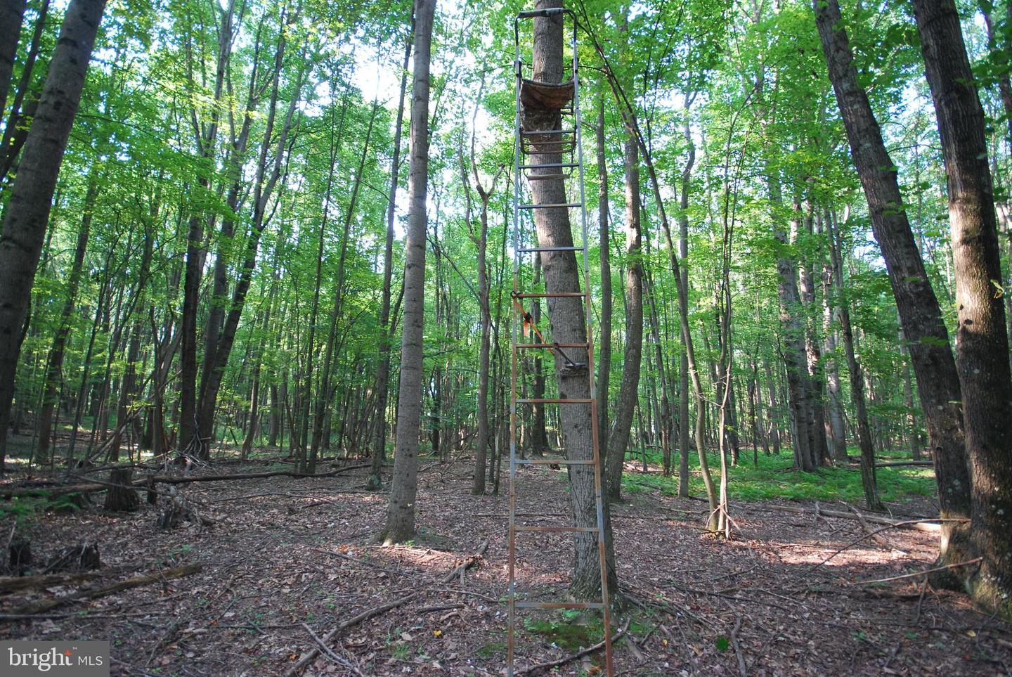 729 Anthony Bohrer Rd Property Photo 61