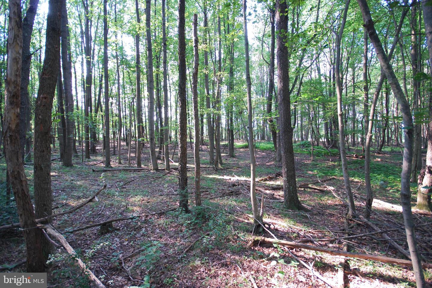 729 Anthony Bohrer Rd Property Photo 65