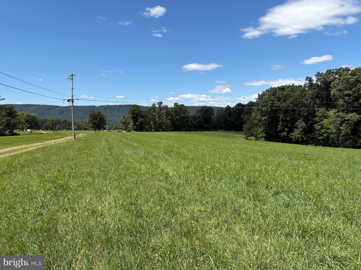 20.96 Acres Wilson's Ln Property Photo 3