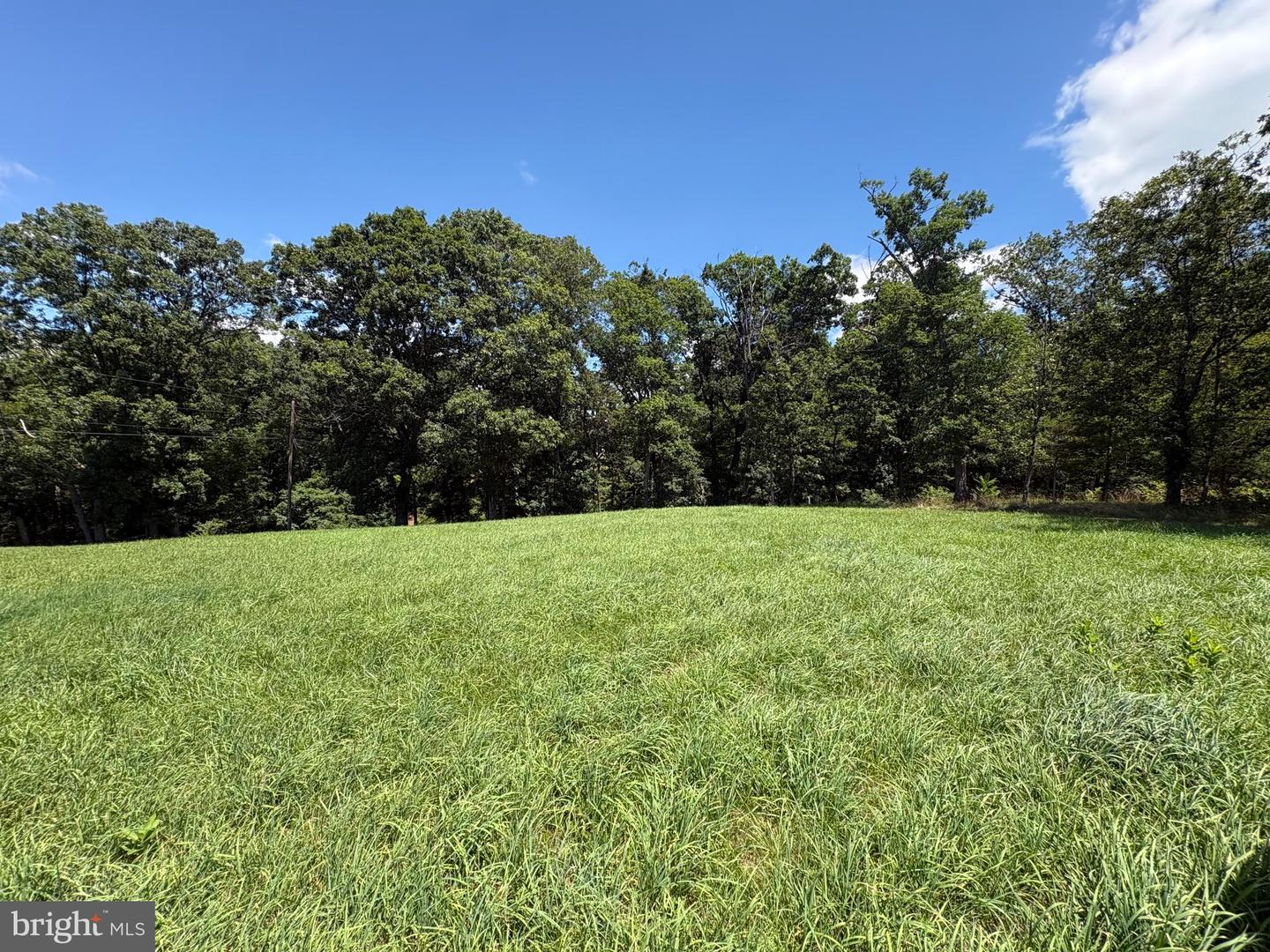 20.96 Acres Wilson's Ln Property Photo 4