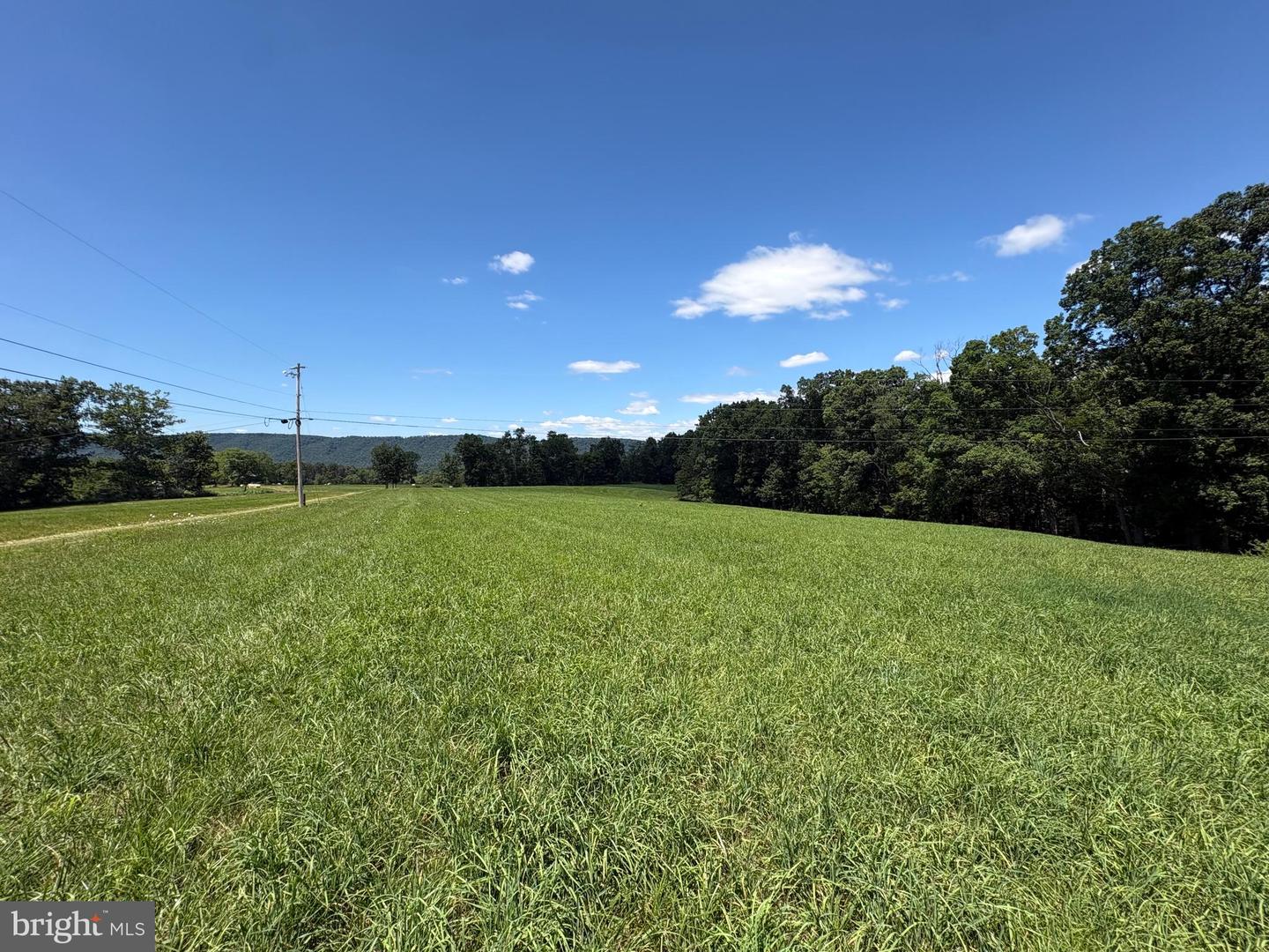 20.96 Acres Wilson's Ln Property Photo 5