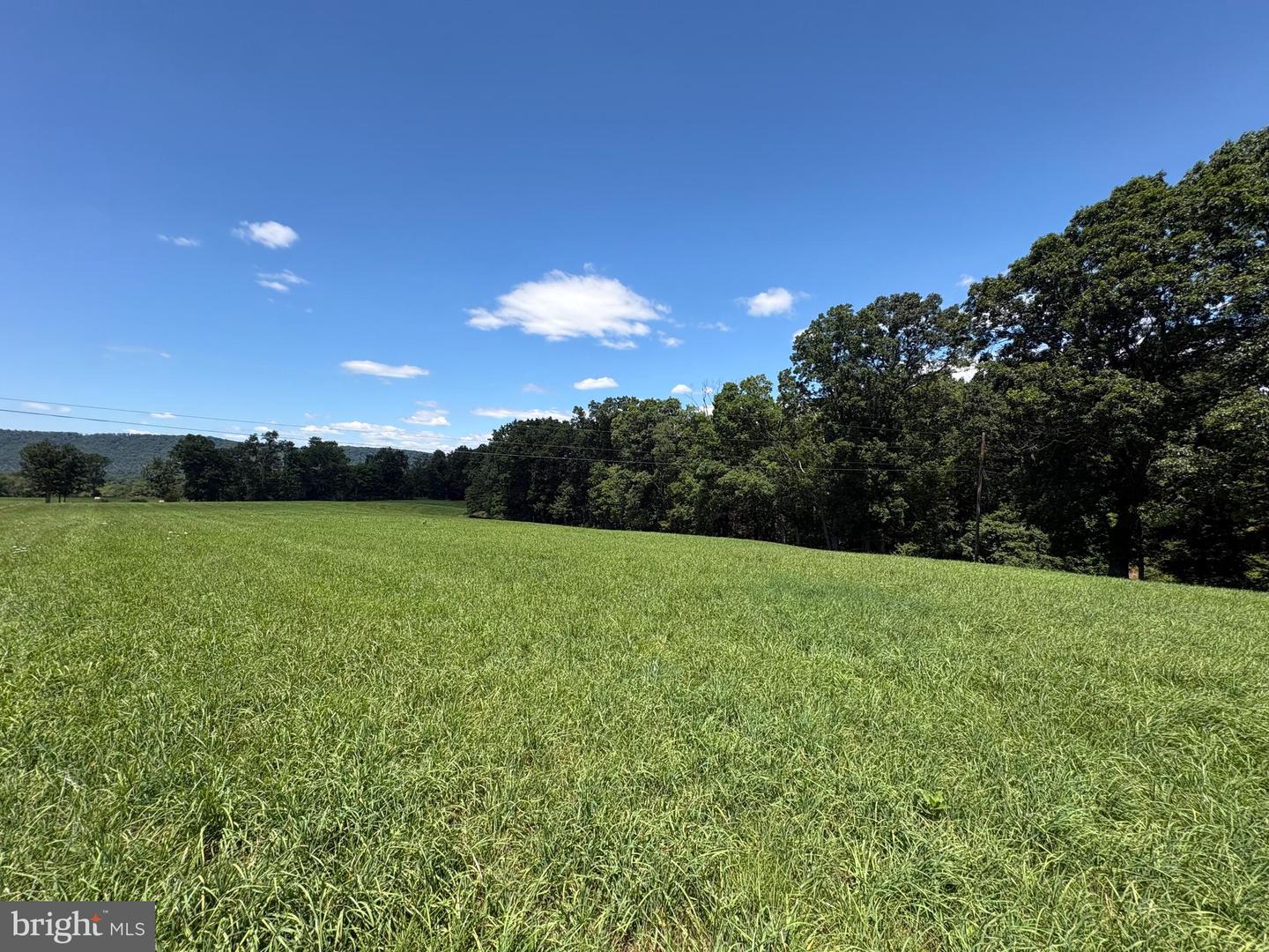 20.96 Acres Wilson's Ln Property Photo 6