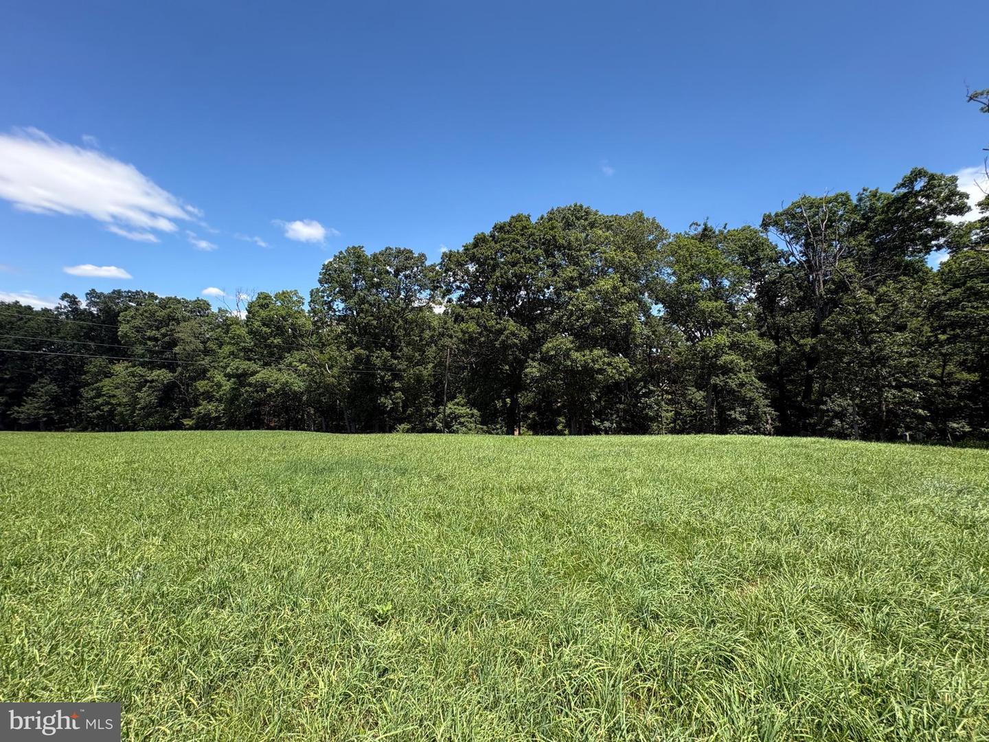 20.96 Acres Wilson's Ln Property Photo 7