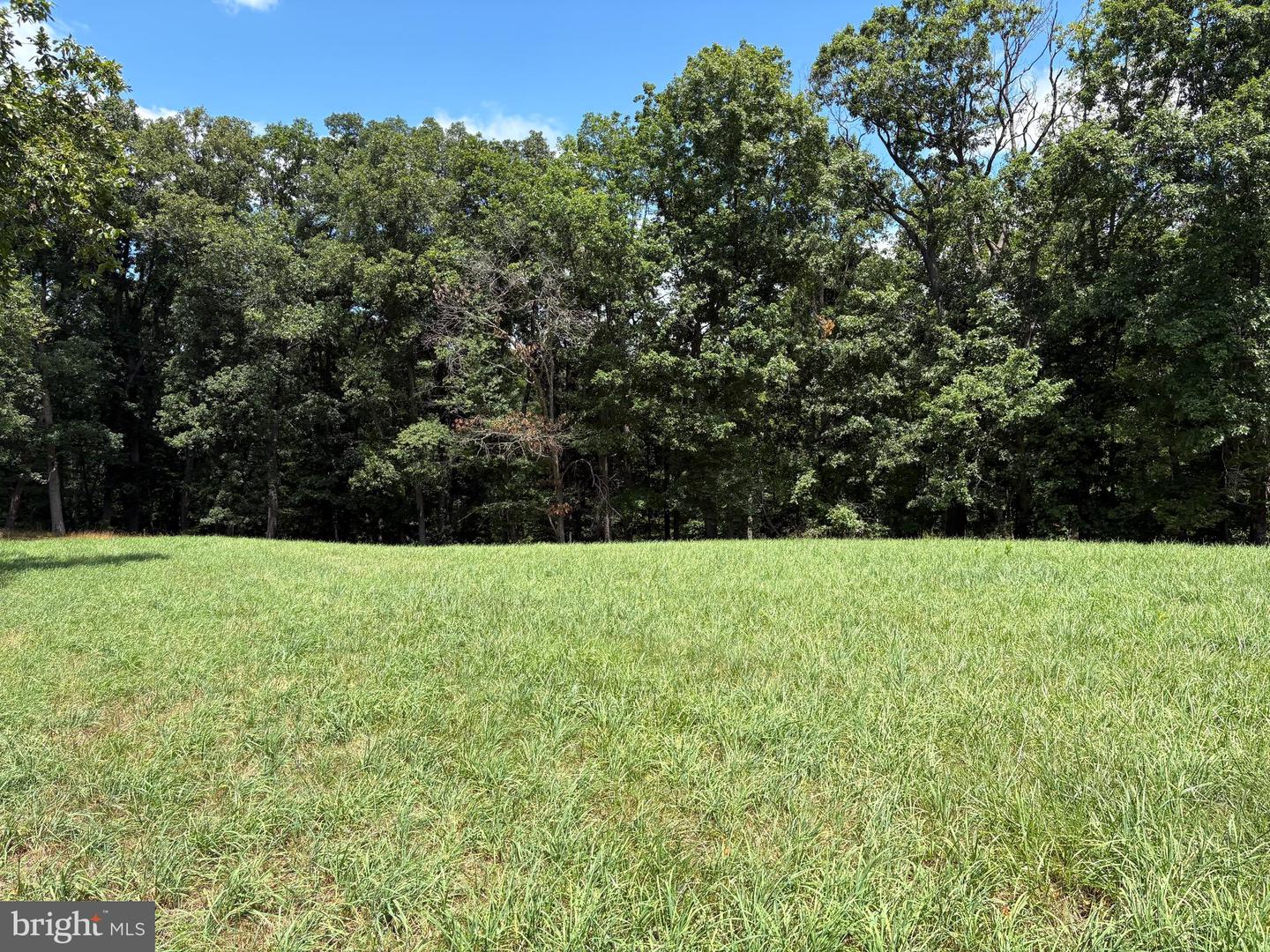 20.96 Acres Wilson's Ln Property Photo 8