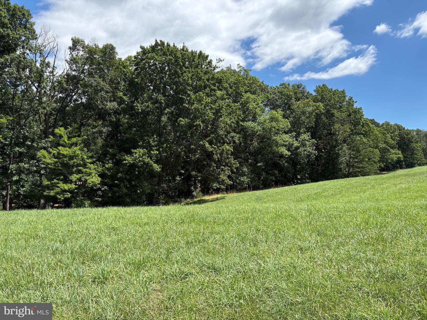 20.96 Acres Wilson's Ln Property Photo 9