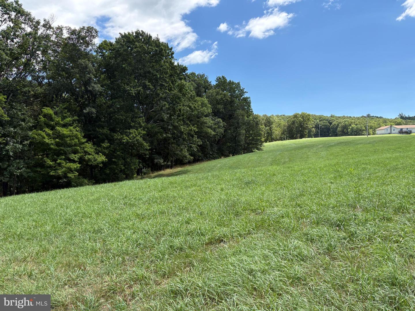 20.96 Acres Wilson's Ln Property Photo 11