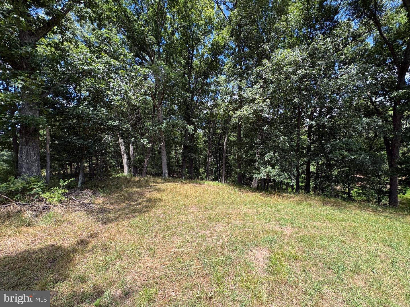 20.96 Acres Wilson's Ln Property Photo 12