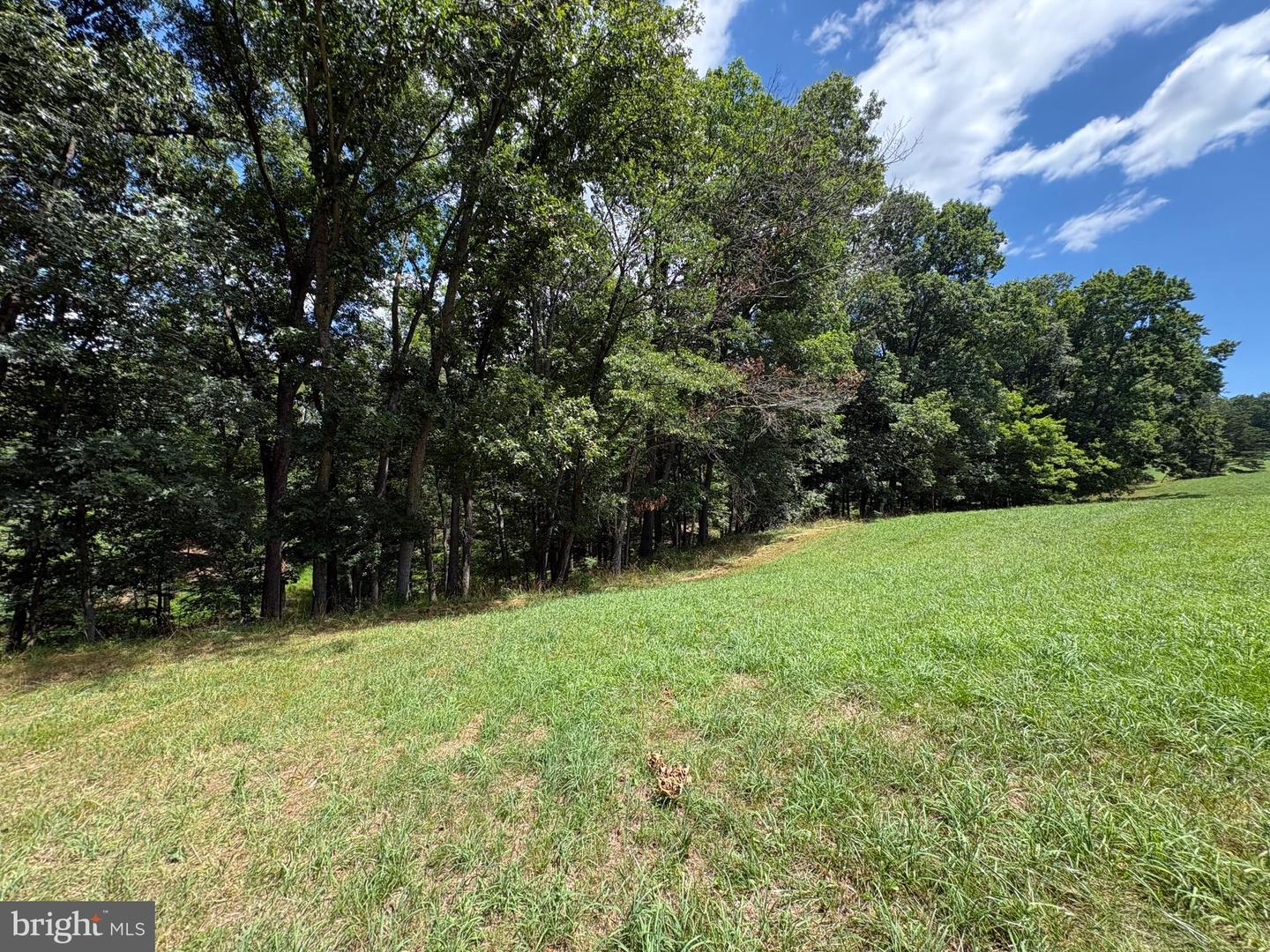 20.96 Acres Wilson's Ln Property Photo 13