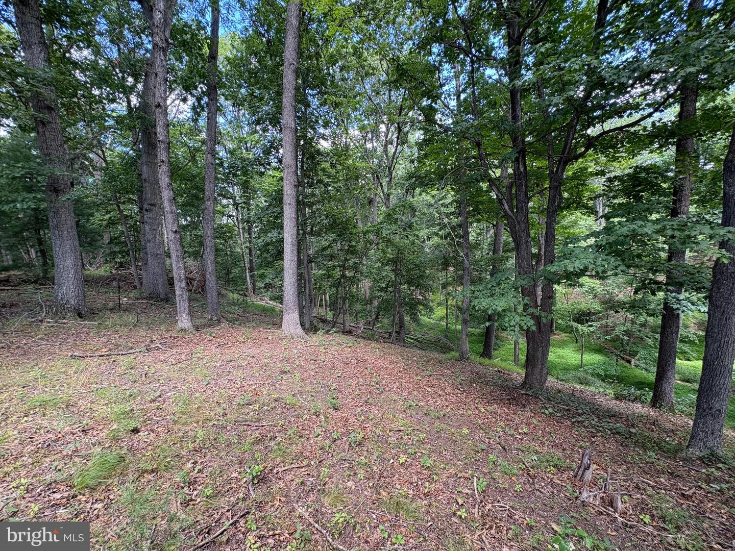 20.96 Acres Wilson's Ln Property Photo 14