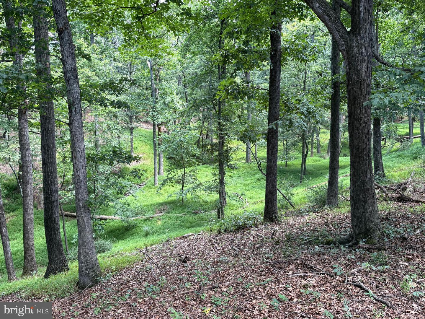 20.96 Acres Wilson's Ln Property Photo 15