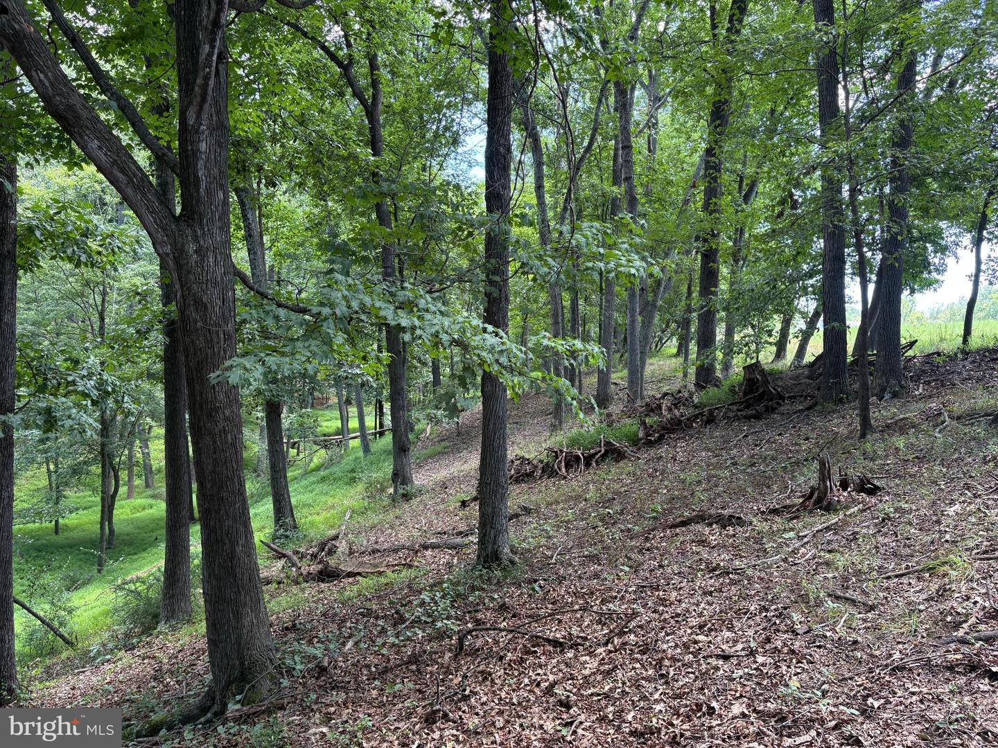 20.96 Acres Wilson's Ln Property Photo 16