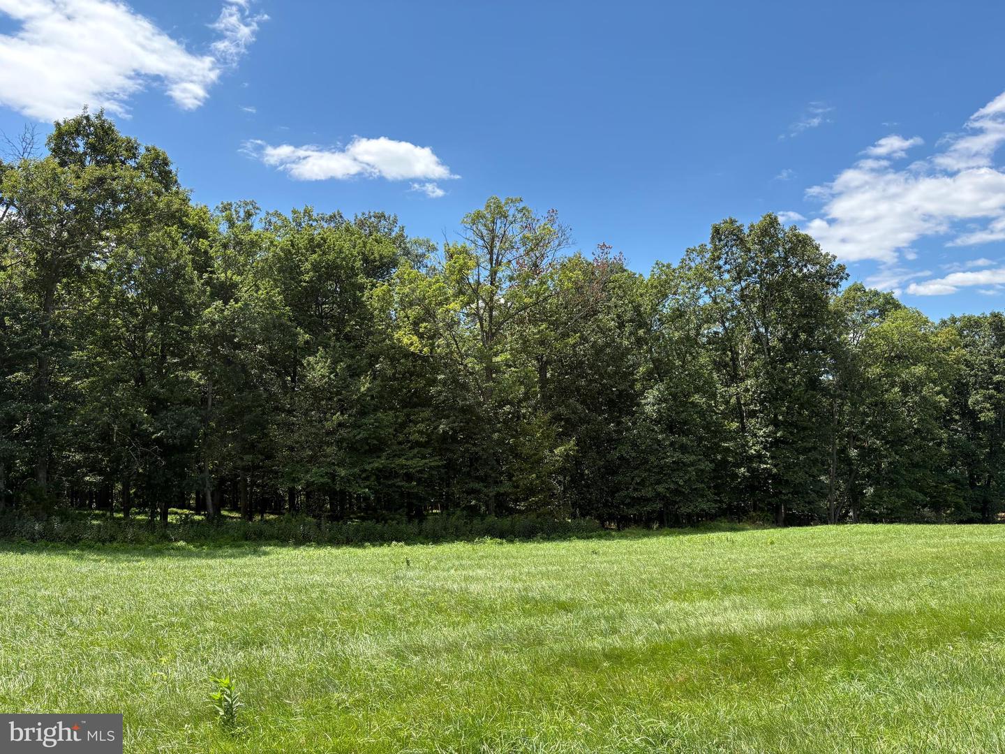20.96 Acres Wilson's Ln Property Photo 17