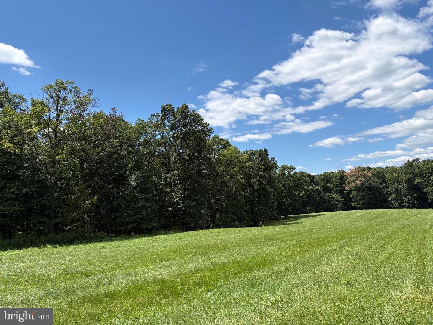 20.96 Acres Wilson's Ln Property Photo 18