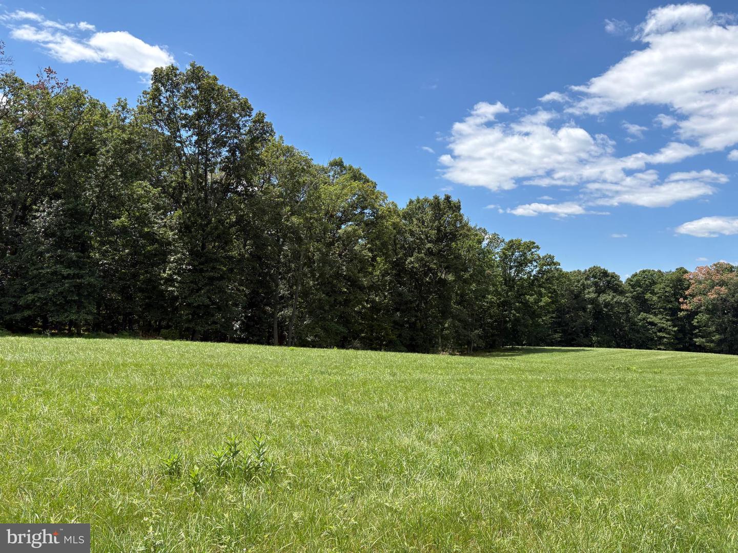 20.96 Acres Wilson's Ln Property Photo 19