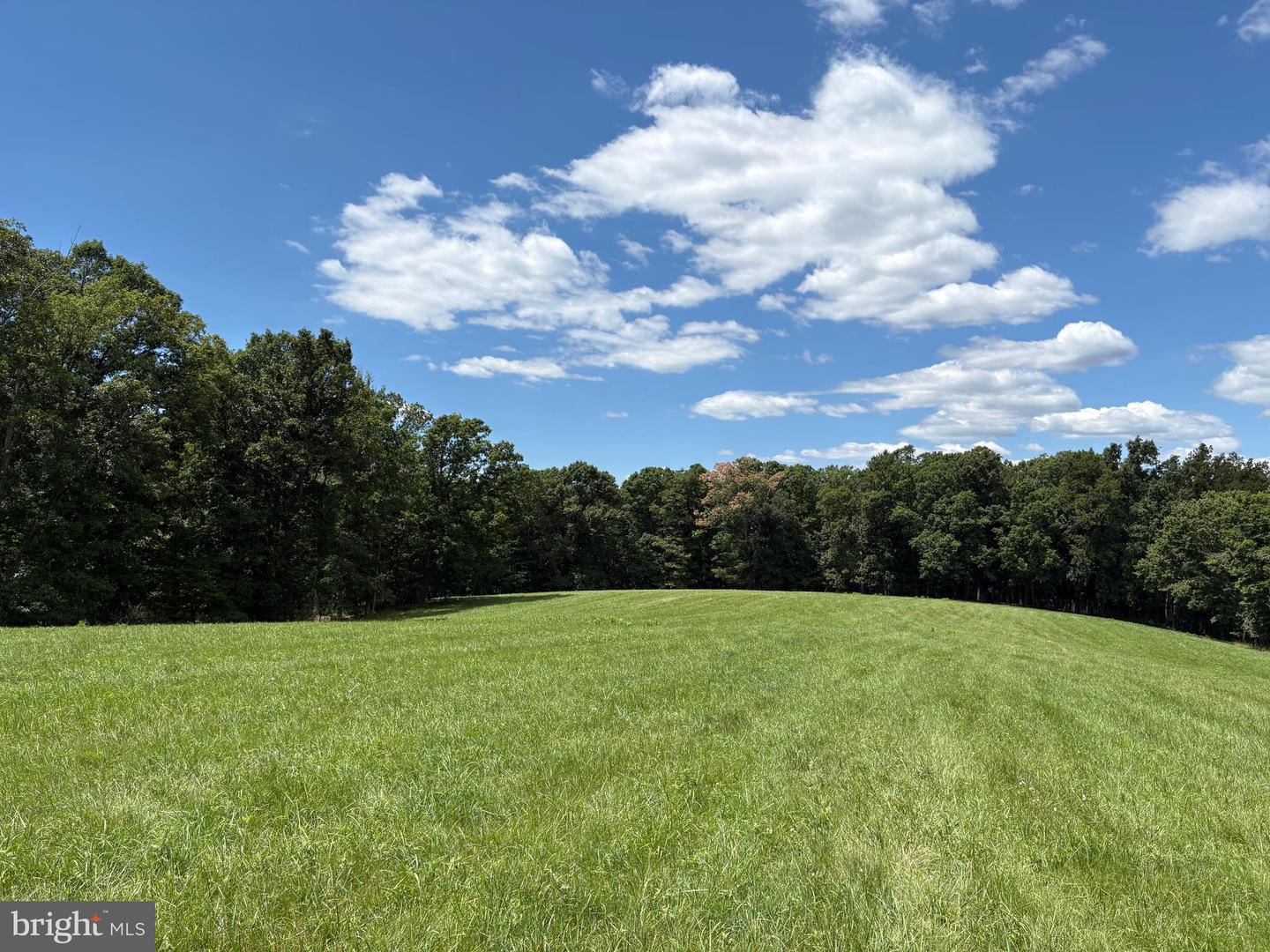 20.96 Acres Wilson's Ln Property Photo 20