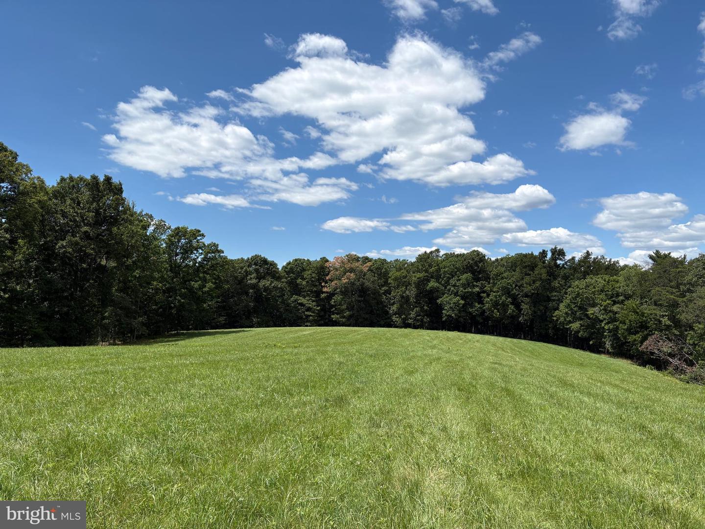 20.96 Acres Wilson's Ln Property Photo 21
