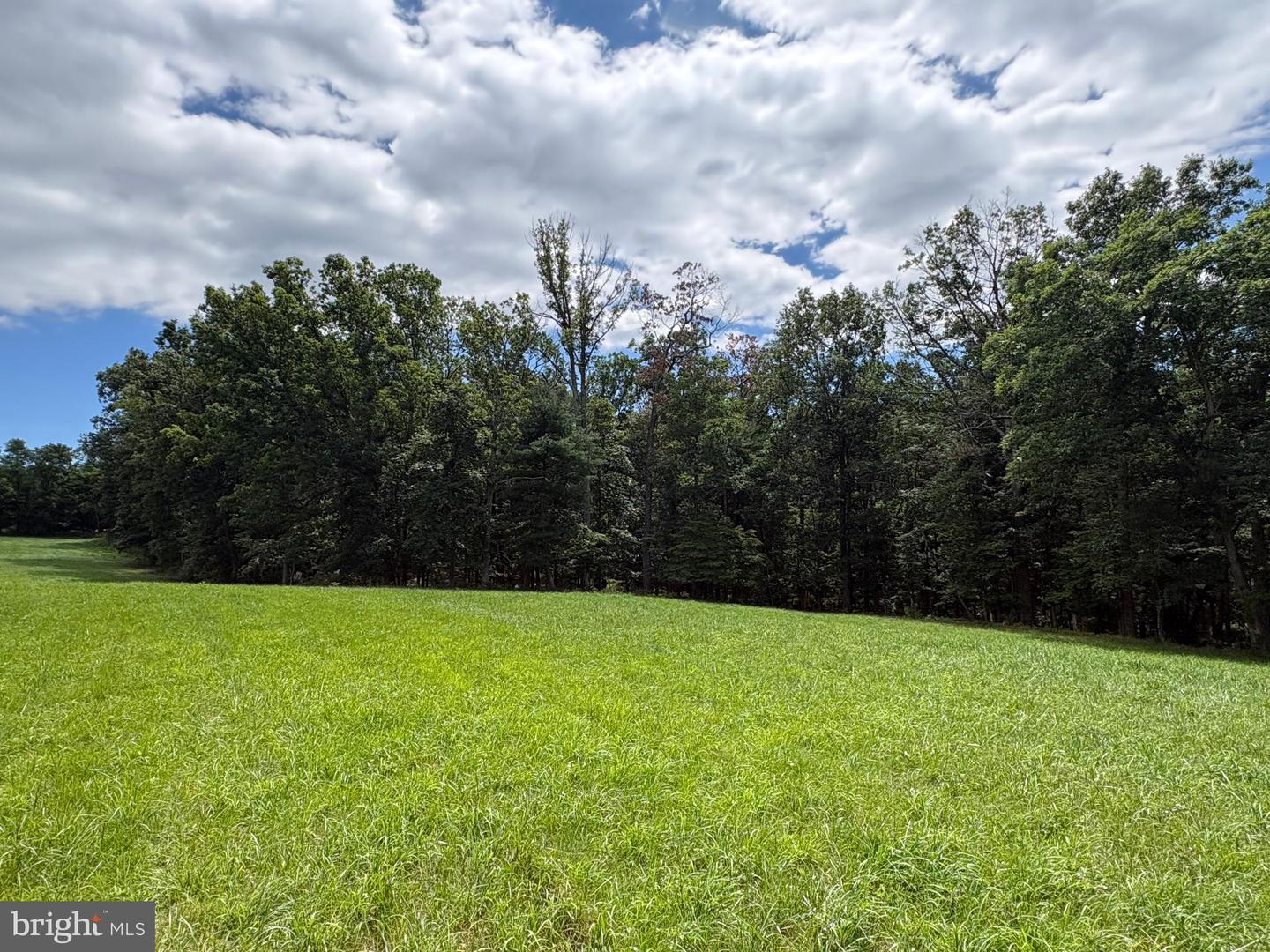 20.96 Acres Wilson's Ln Property Photo 22