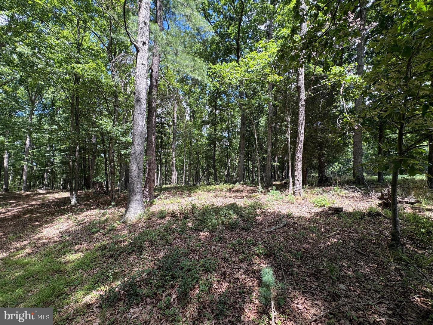 20.96 Acres Wilson's Ln Property Photo 23