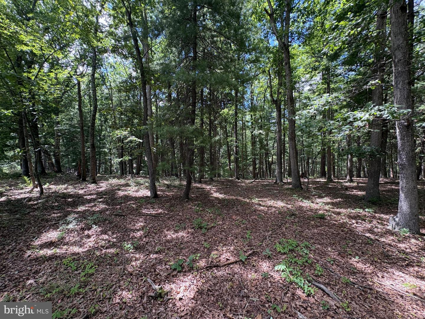 20.96 Acres Wilson's Ln Property Photo 24