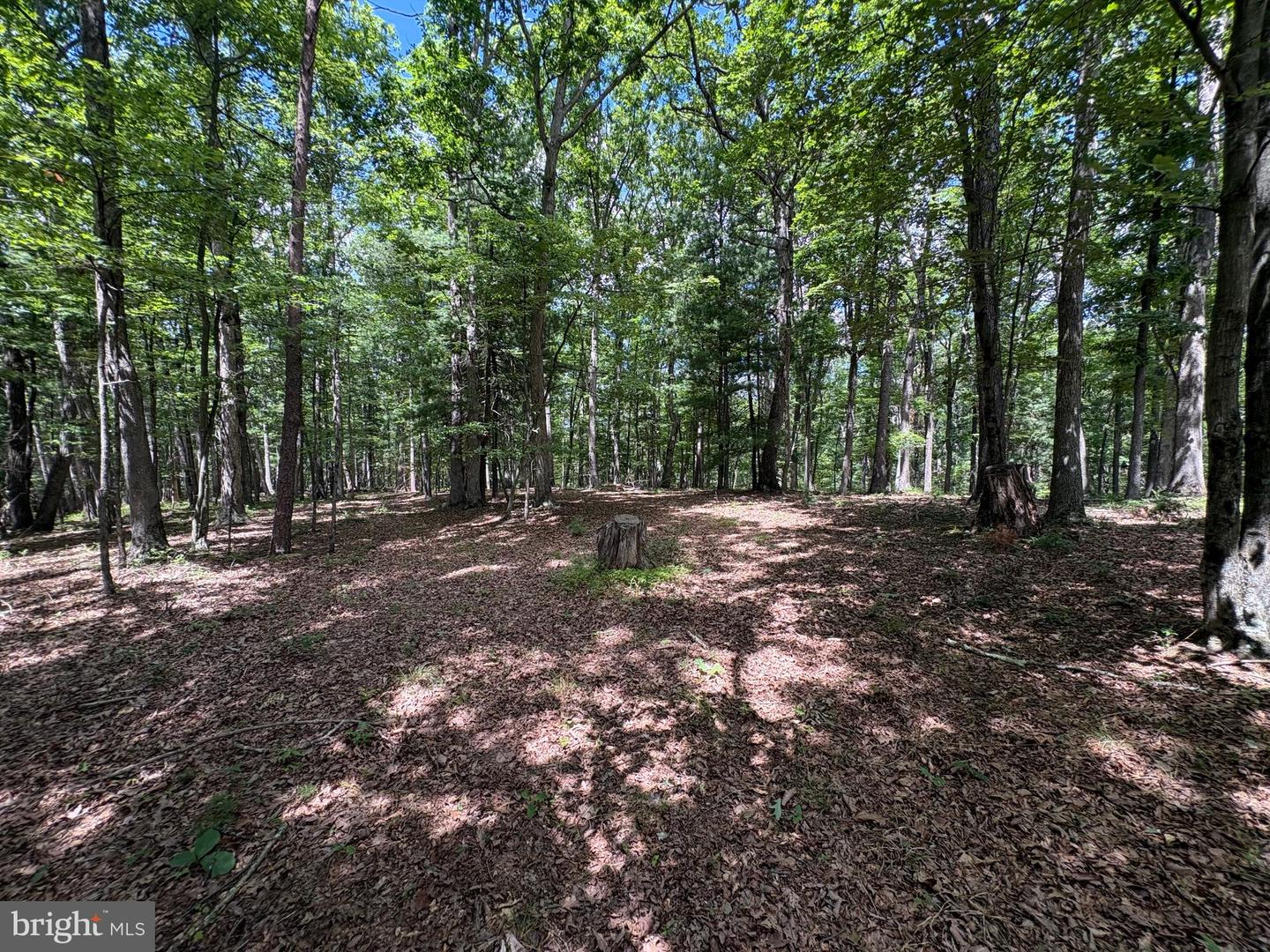 20.96 Acres Wilson's Ln Property Photo 25