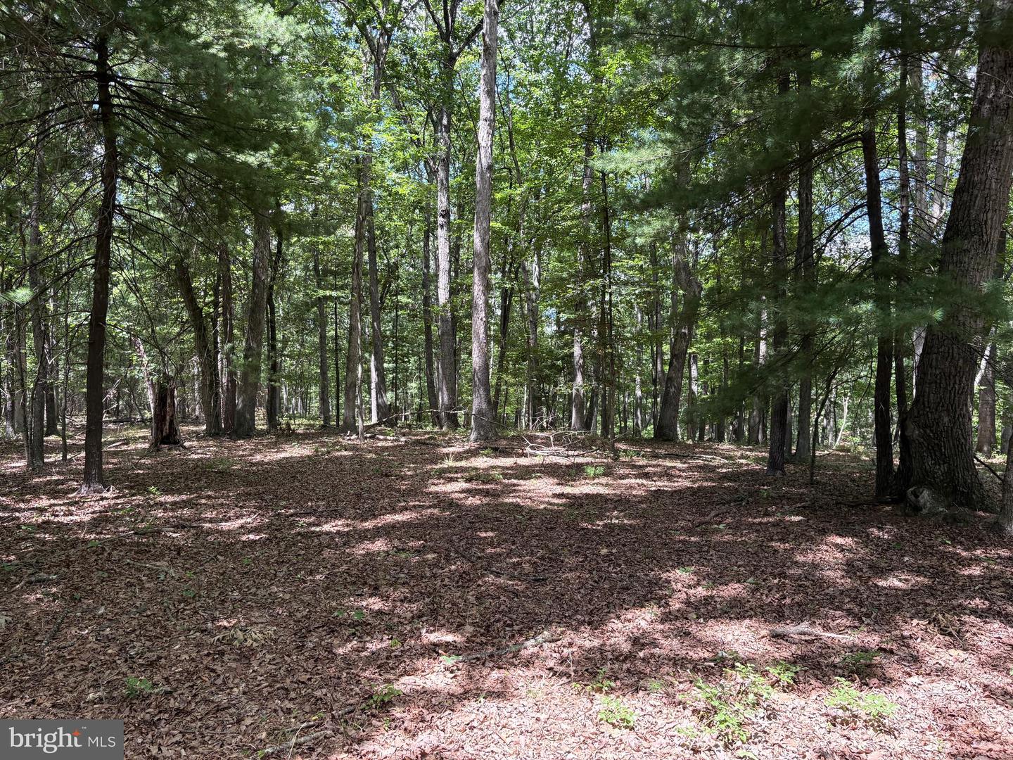 20.96 Acres Wilson's Ln Property Photo 26