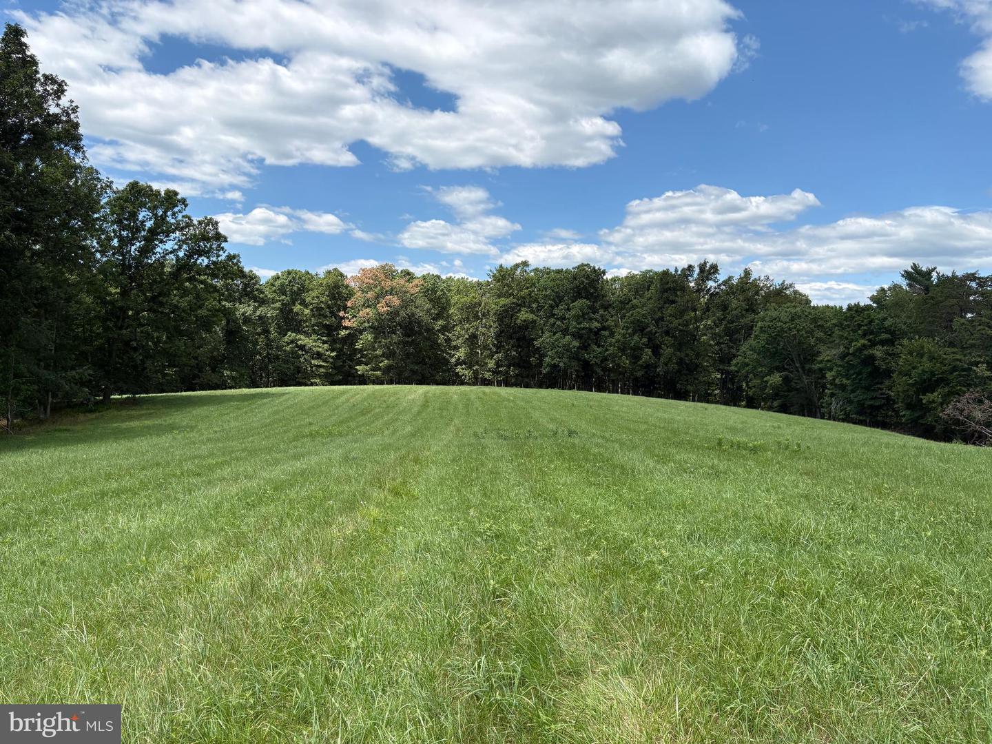 20.96 Acres Wilson's Ln Property Photo 28