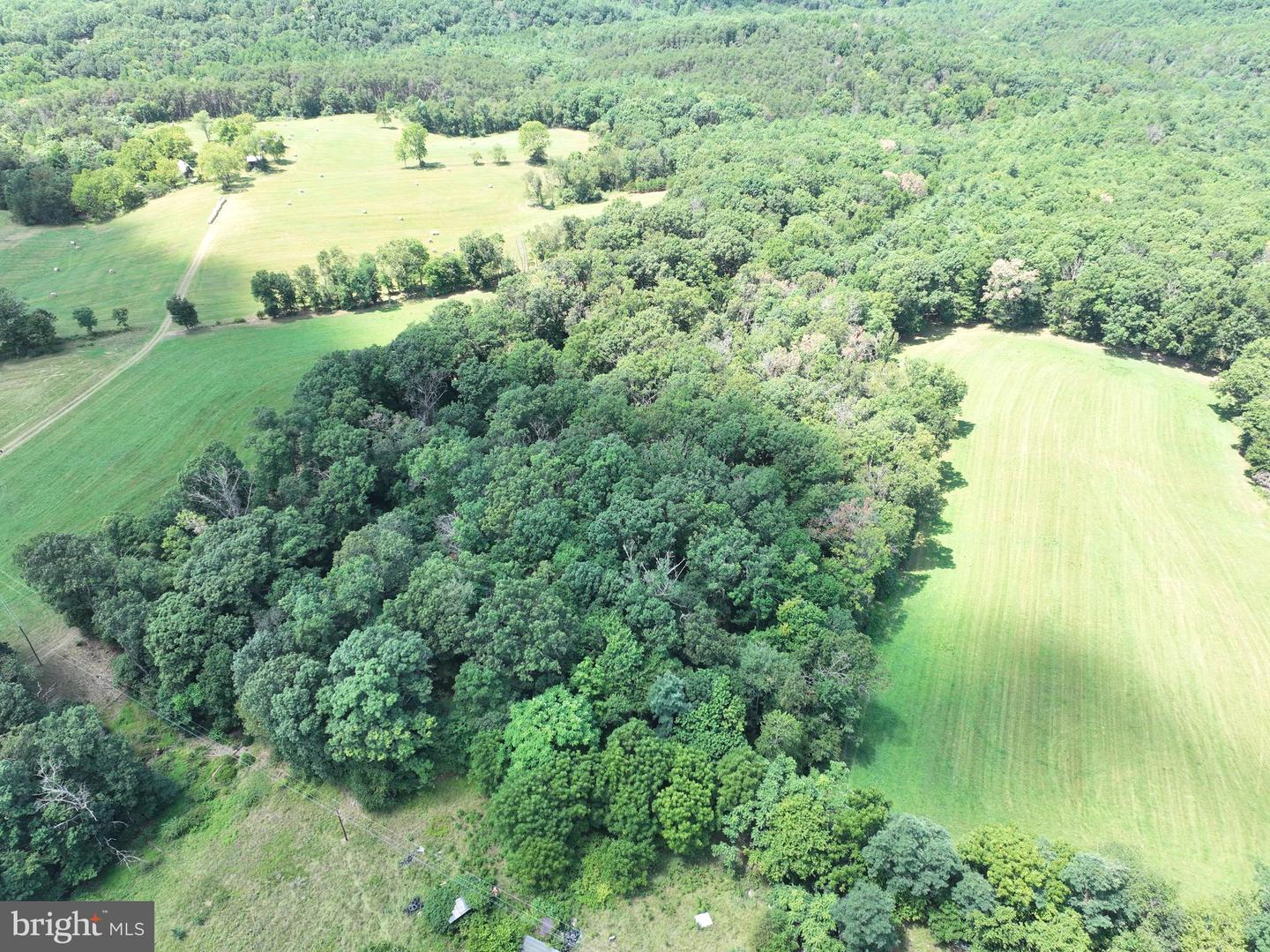 20.96 Acres Wilson's Ln Property Photo 33
