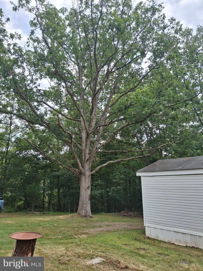45 Towson Ln Property Photo 7