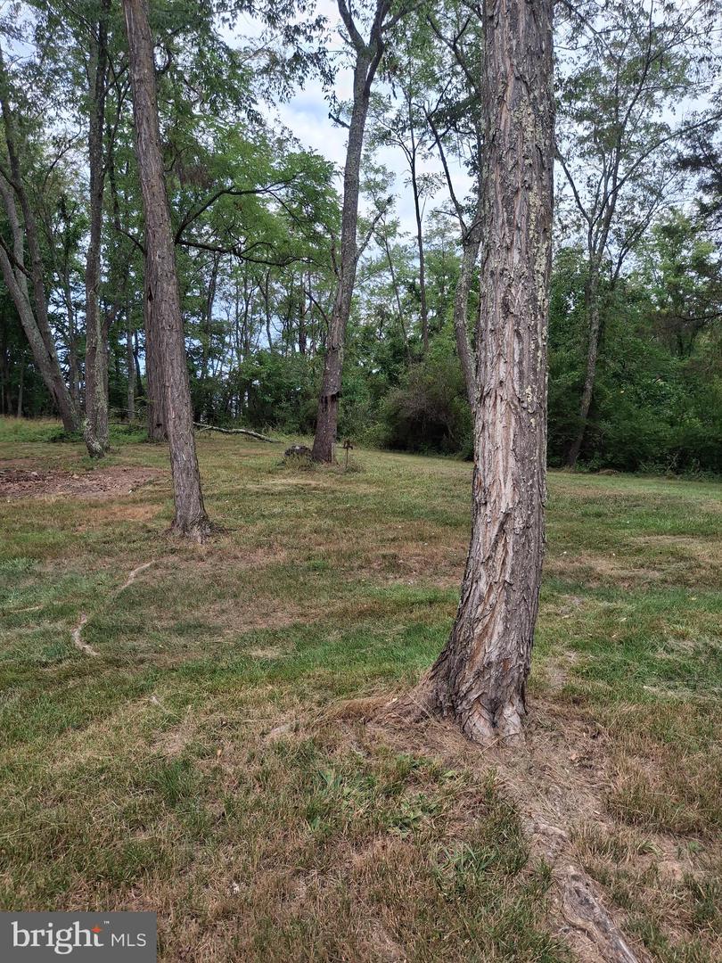 45 Towson Ln Property Photo 8