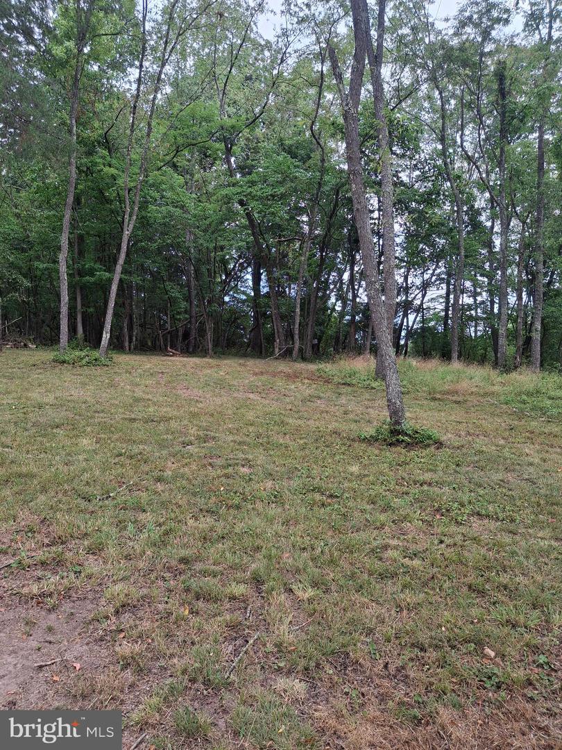 45 Towson Ln Property Photo 53